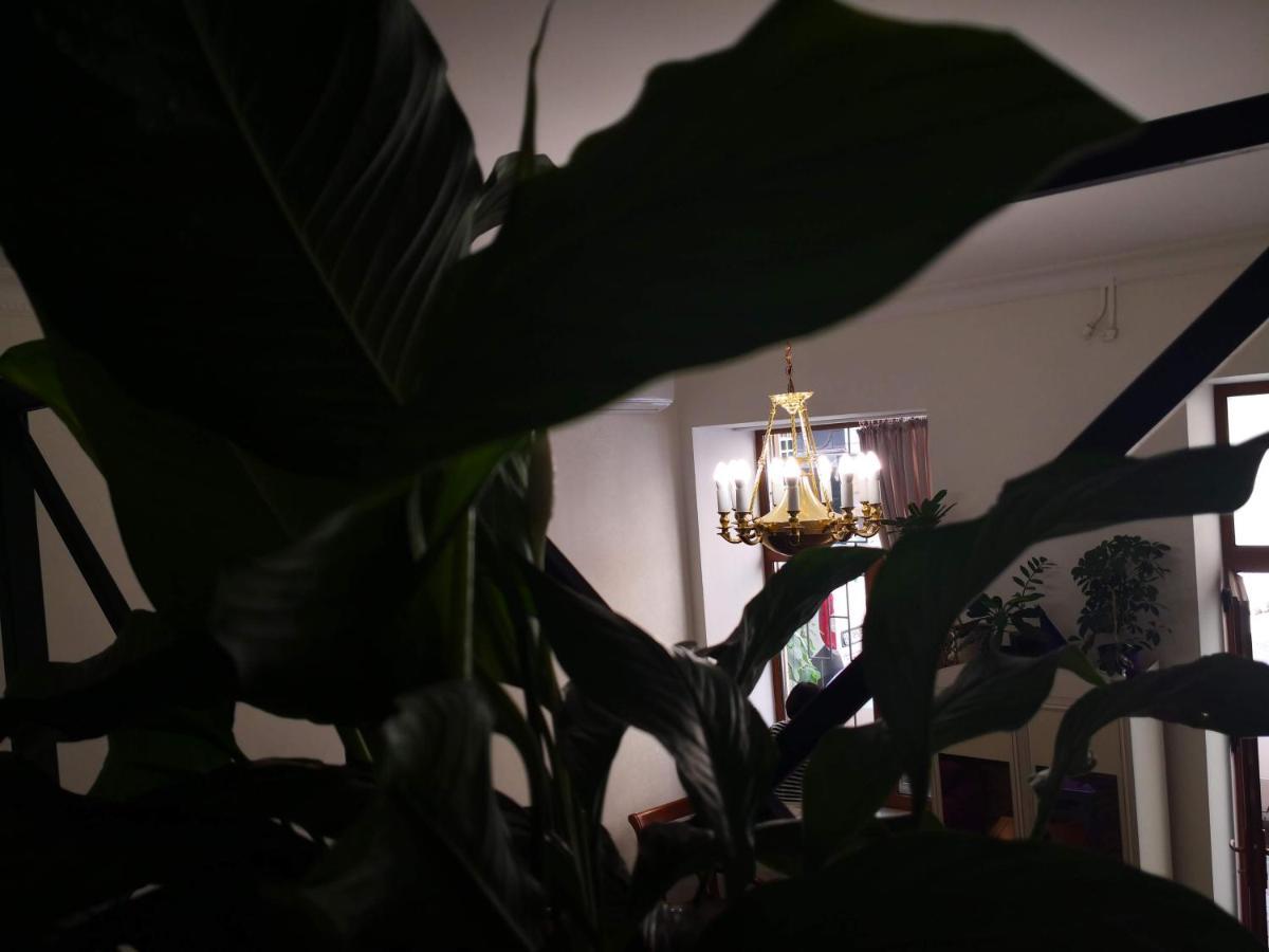 уютные дерибасовская, 13 Одесса