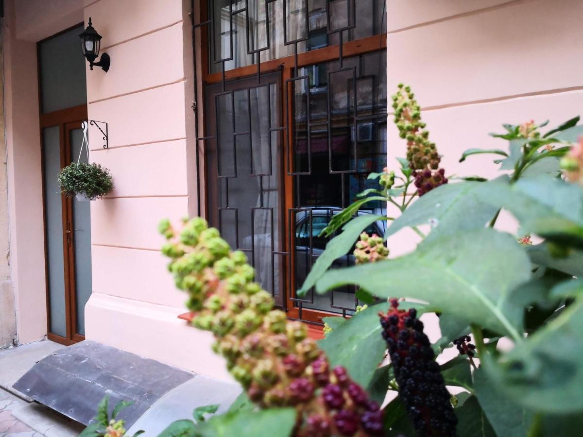 затишні апартаменти, вулиця дерибасівська, 13 Apartment Odessa